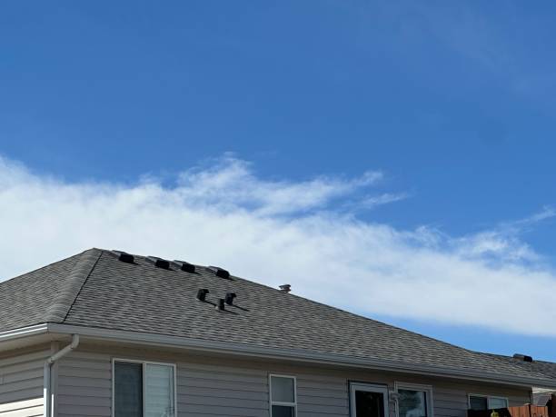 Best Gutter Installation and Repair  in Summit, AZ